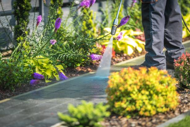 Best Parking Lot and Garage Cleaning  in Haworth, NJ
